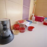 Laboratorium mikrobiologiczne w Świętokrzyskim Centrum Matki i Noworodka na ul. Prostej / Marzena Mąkosa / Radio Kielce