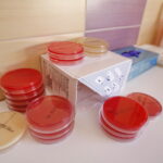 Laboratorium mikrobiologiczne w Świętokrzyskim Centrum Matki i Noworodka na ul. Prostej / Marzena Mąkosa / Radio Kielce