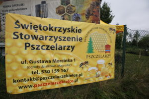 Kiermasz pszczelarski w Ogrodzie "Magnolia" / Marzena Mąkosa / Radio Kielce