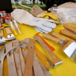 Kiermasz pszczelarski w Ogrodzie "Magnolia" / Marzena Mąkosa / Radio Kielce