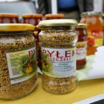 Kiermasz pszczelarski w Ogrodzie "Magnolia" / Marzena Mąkosa / Radio Kielce