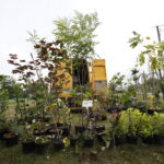 Kiermasz pszczelarski w Ogrodzie "Magnolia" / Marzena Mąkosa / Radio Kielce