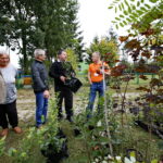 Kiermasz pszczelarski w Ogrodzie "Magnolia" / Marzena Mąkosa / Radio Kielce