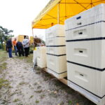 Kiermasz pszczelarski w Ogrodzie "Magnolia" / Marzena Mąkosa / Radio Kielce