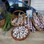 Świętokrzyskie dary lasu / Marzena Mąkosa / Radio Kielce