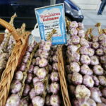 Świętokrzyskie dary lasu / Marzena Mąkosa / Radio Kielce