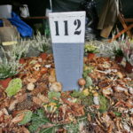 Świętokrzyskie dary lasu / Marzena Mąkosa / Radio Kielce