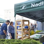 Świętokrzyskie dary lasu / Marzena Mąkosa / Radio Kielce