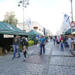 Świętokrzyskie dary lasu / Marzena Mąkosa / Radio Kielce