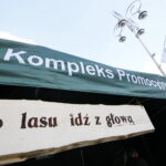 Świętokrzyskie dary lasu / Marzena Mąkosa / Radio Kielce