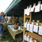 Świętokrzyskie dary lasu / Marzena Mąkosa / Radio Kielce