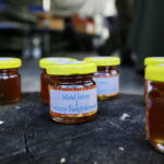 Świętokrzyskie dary lasu / Marzena Mąkosa / Radio Kielce