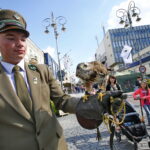 Świętokrzyskie dary lasu / Marzena Mąkosa / Radio Kielce