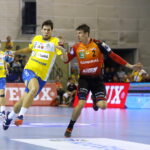 PGE Vive - Rhein-Neckar Loewen / Marzena Mąkosa / Radio Kielce