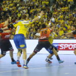 PGE Vive - Rhein-Neckar Loewen / Marzena Mąkosa / Radio Kielce