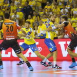 PGE Vive - Rhein-Neckar Loewen / Marzena Mąkosa / Radio Kielce