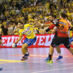 PGE Vive - Rhein-Neckar Loewen / Marzena Mąkosa / Radio Kielce