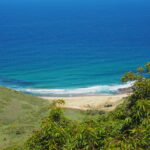 Muzyczne Podróże Przez Świat. Australia / Jakub Juszyński