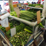 Muzyczne Podróże Przez Świat. Australia / Jakub Juszyński