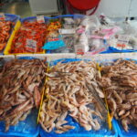 Muzyczne Podróże Przez Świat. Australia / Jakub Juszyński