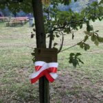 Piknik patriotyczno-historyczny w Parku Katyńskim / Grażyna Szlęzak-Wójcik / Radio Kielce