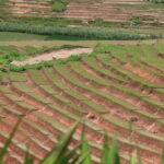 Madagaskar / dr hab. Małgorzata Anna Jóźwiak i prof. dr hab. Marek Jóźwiak