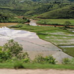 Madagaskar / dr hab. Małgorzata Anna Jóźwiak i prof. dr hab. Marek Jóźwiak