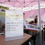 Plenerowe Targi Pracy na Rynku / Marzena Mąkosa / Radio Kielce