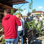 Akcja „100 tysięcy drzew na 100-lecie niepodległości Polski / Agnieszka Chudzik / Urząd Miejski w Jędrzejowie