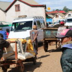 Madagaskar / dr hab. Małgorzata Anna Jóźwiak i prof. dr hab. Marek Jóźwiak