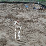 Krzemionki. VII Krzemionkowskie Spotkania z Epoką Kamienia / Emilia Sitarska / Radio Kielce