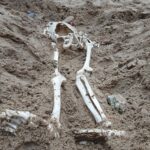 Krzemionki. VII Krzemionkowskie Spotkania z Epoką Kamienia / Emilia Sitarska / Radio Kielce