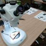 Krzemionki. VII Krzemionkowskie Spotkania z Epoką Kamienia / Emilia Sitarska / Radio Kielce