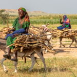 Muzyczne podróże. Czad / Mirosław Lubarski / Radio Kielce