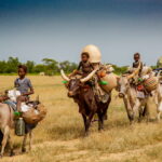 Czad. Festiwal Gerewol / Mirosław Lubarski / Radio Kielce
