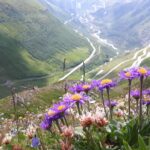 Rowerem przez Szwajcarię / K. Cybulska, B. Pasik, M. Domagalski i A. Małkiewicz