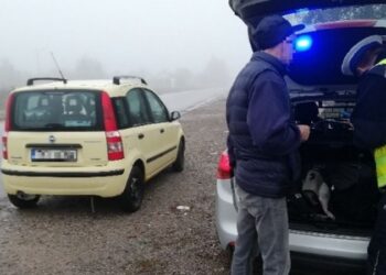 Zatrzymanie nietrzeźwego kierowcy w miejscowości Rudki / KWP Kielce