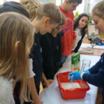 Festyn zorganizowany przez Energetyczne Centrum Nauki KPT w Zespole Szkół Katolickich im. św. Stanisława Kostki / Wiktor Dziarmaga / Radio Kielce