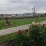 Ogródek hortiterapii powstaje na terenie Ogrodu Botanicznego w Kielcach / Iwona Murawska / Radio Kielce