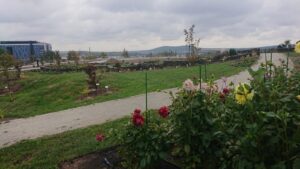 Ogródek hortiterapii powstaje na terenie Ogrodu Botanicznego w Kielcach / Iwona Murawska / Radio Kielce