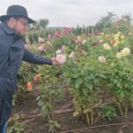 Ogródek hortiterapii powstaje na terenie Ogrodu Botanicznego w Kielcach / Iwona Murawska / Radio Kielce