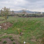 Fot. Iwona Murawska - Radio Kielce