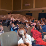 Spotkania z Kinem o Żydowskich Wątkach w Ośrodku Edukacyjno-Muzealnym Świętokrzyski Sztetl / Ośrodek Edukacyjno-Muzealny Świętokrzyski Sztetl