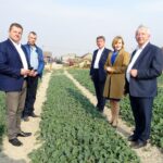 Jędrzejów. Spotkanie na temat "Planu dla wsi". Na zdjęciu (od lewej): rolnik Artur Konarski - kandydat PiS do Semiku Województwa Świętokrzyskiego, Mariusz Wawrzyło - kandydat na radnego w gminie Słupia Jędrzejowska, Andrzej Pruś - radny województwa świętokrzyskiego, poseł Anna Krupka i poseł Krzysztof Lipiec / Ewa Pociejowska - Gawęda / Radio Kielce