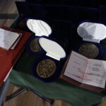 Jubileusz 50-lecia rejonu energetycznego w Staszowie. / Mateusz Kaczmarczyk / Radio Kielce