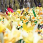 14.04.2015 Festyn dla dzieci "Pola Nadziei" w Parku Miejskim / Stanisław Blinstrub / Radio Kielce