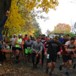 I Półmaraton Leśny w Ostrowcu Świętokrzyskim / Emilia Sitarska / Radio Kielce