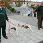 II Hubertus Ostrowiecki. Pokaz psów myśliwskich / Emilia Sitarska / Radio Kielce