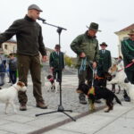 II Hubertus Ostrowiecki. Pokaz psów myśliwskich / Emilia Sitarska / Radio Kielce