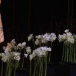 Warszawa. Gala 100-lecia piłki ręcznej / Krzysztof Bujnowicz / Radio Kielce